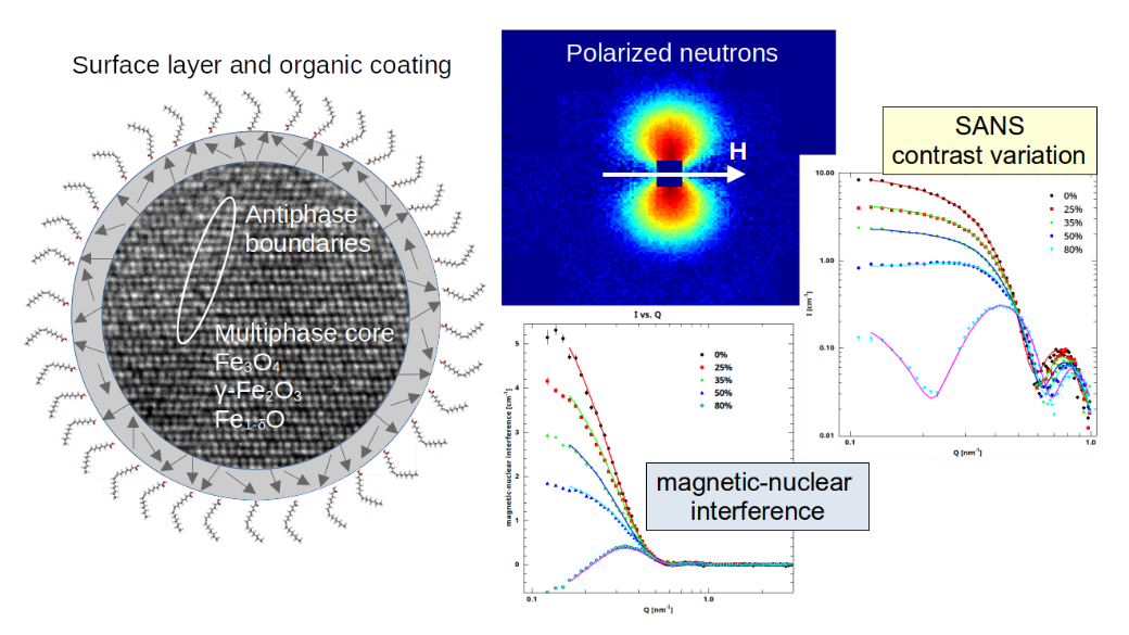 A  schematic representation of a magnetic nanoparticle with multiphase  core, antiphase boundaries and magnetically depleted surface layer  coated with a shell of organic molecules. Small-angle scattering of  polarized neutrons allows simultaneous variation of nuclear and magnetic  contrast in the sample for reliable structure determination.