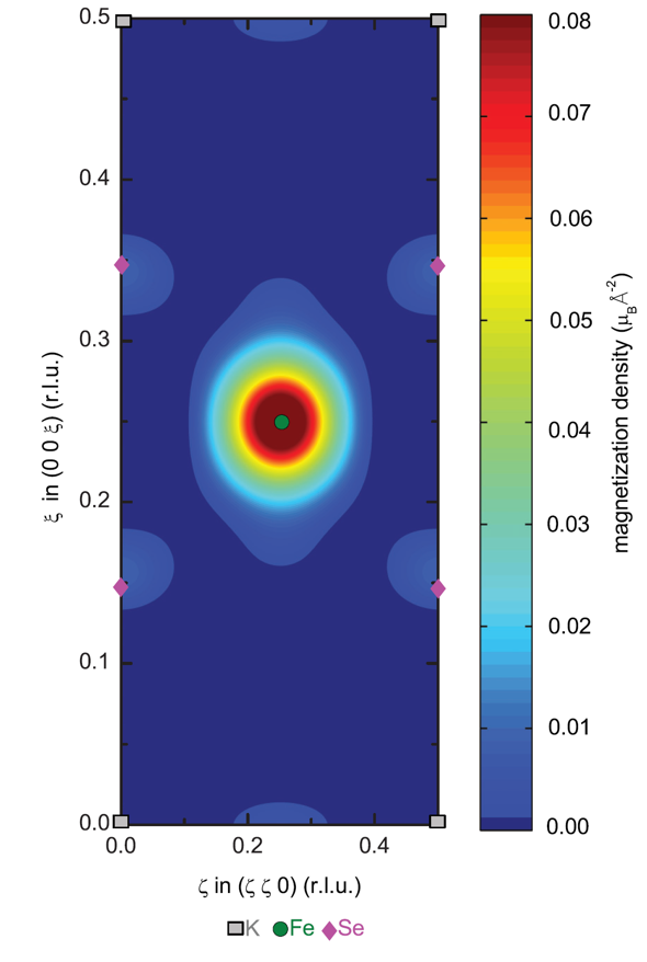 Magnetization distribution in Fe-based superconductor  K0.8Fe1.6Se2 measured using polarized neutrons 
