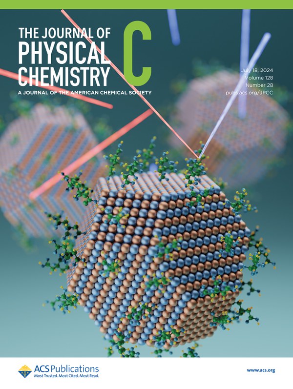 Cover publication J. Phys. Chem. featuring diffusion dynamics on nanoparticle surfaces via neutron backscattering