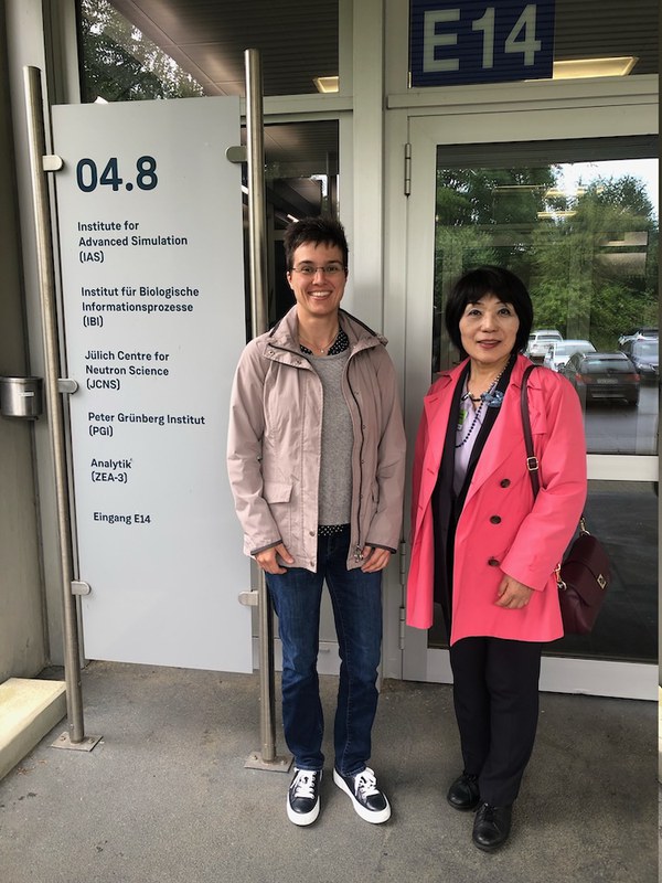 Novel CANS Sources in Japan and Germany – from Transportable Sources to High Brilliance User Facilities