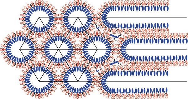 Ibuprofen-lipid-layers