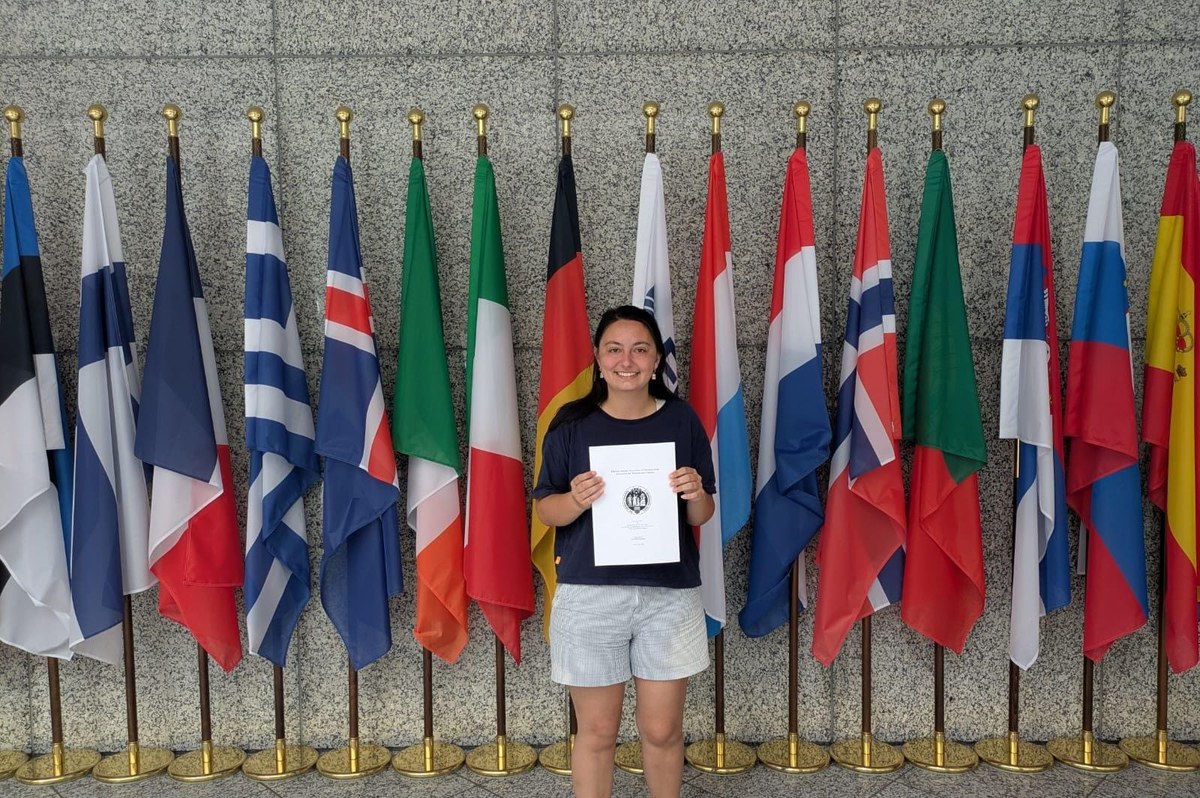 A person stands in front of a row of various colorful flags on poles. (Mistral: Mistral Medium 3.5, 2026-08-31)
