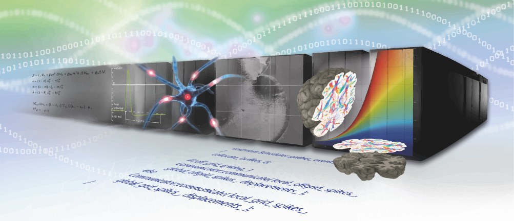 Simulation and Data Lab (SDL) Neuroscience eye catcher. 