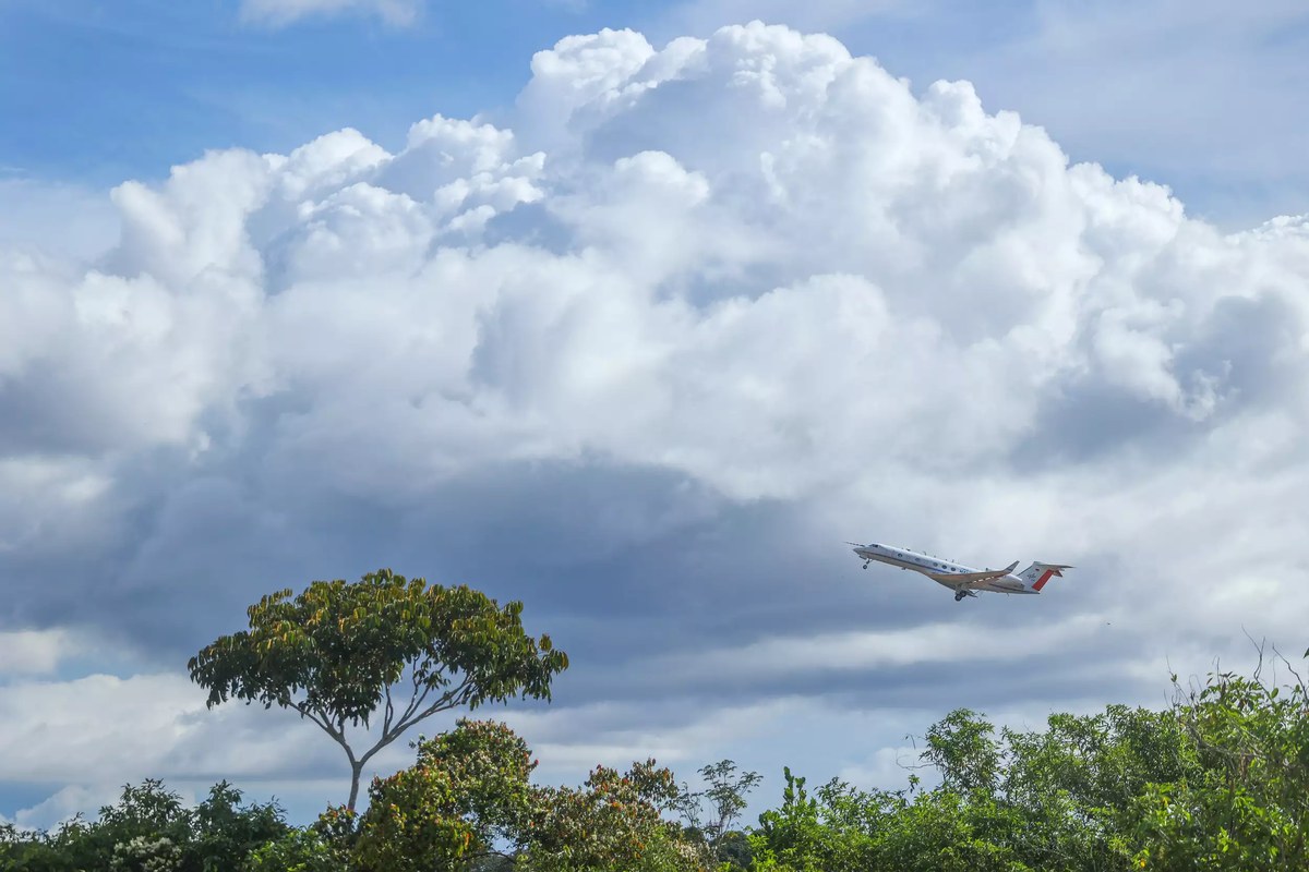 Cloud machine Amazon: How thunderstorms and plants influence cloud formation and climate