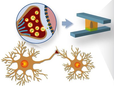 Synapses as a model: solid-state memory in neuromorphic circuits