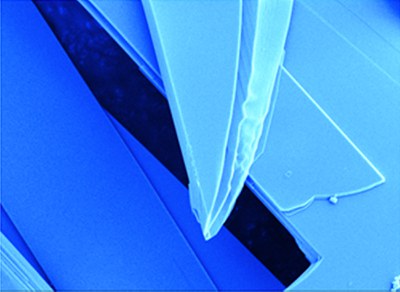 Molybdenene – the "Metallic" Relative of Graphene