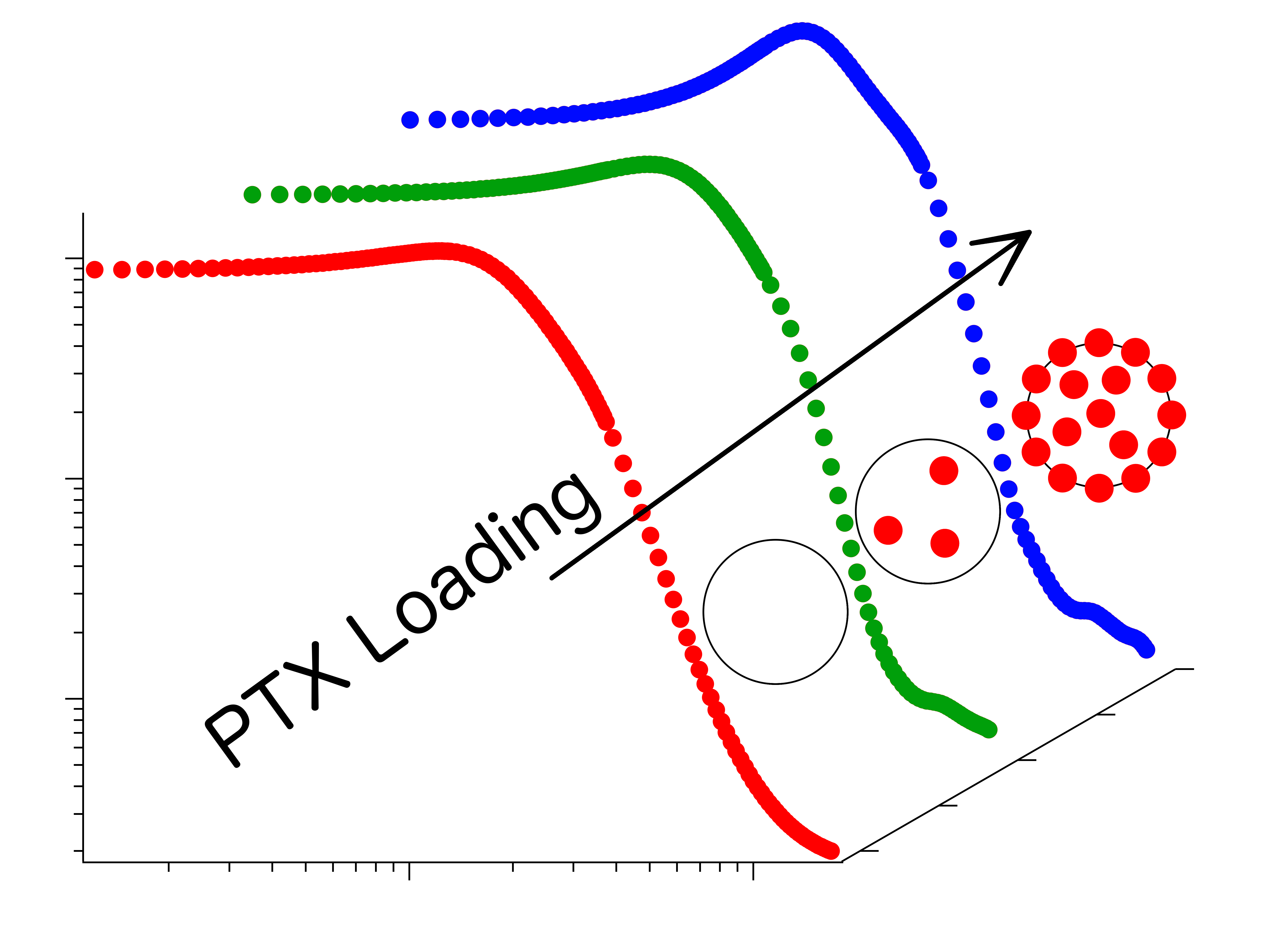 PTX Loading