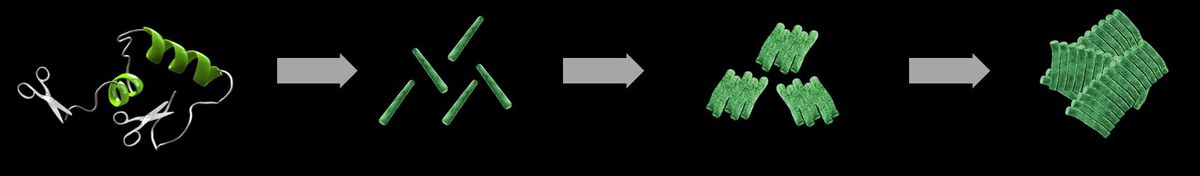 Schematische Darstellung