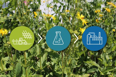 Innovation offensive in the Rhenish Mining Area for a sustainable fibre economy