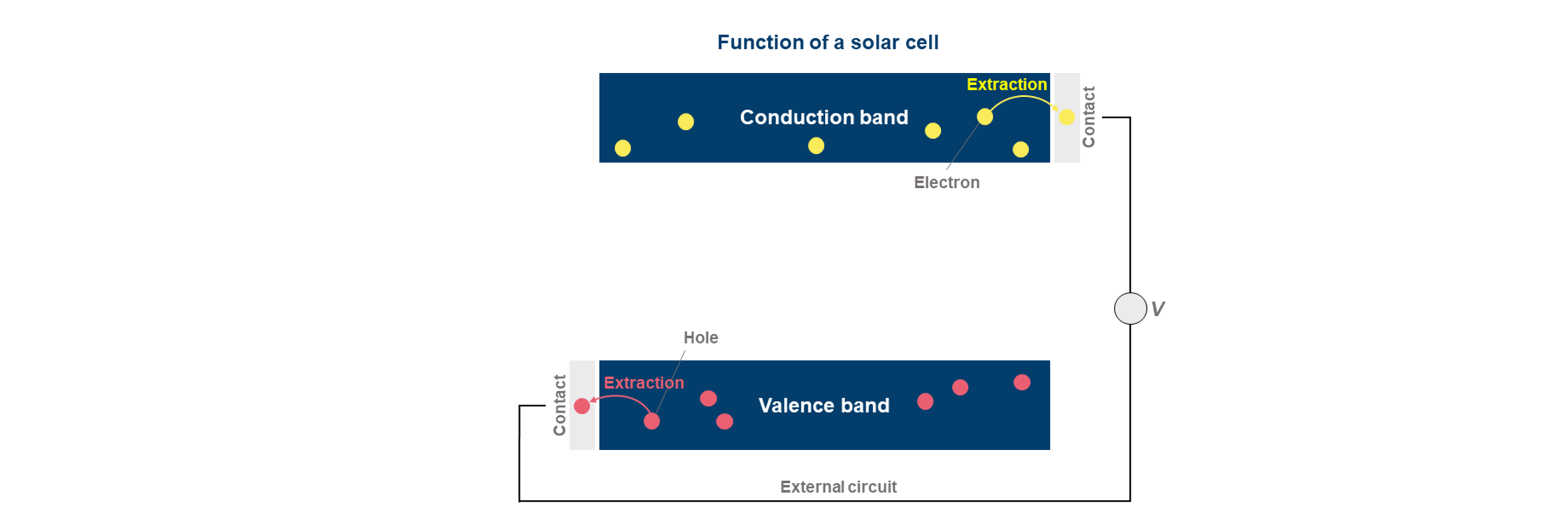 New Findings Regarding the High Efficiency of Perovskite Solar Cells