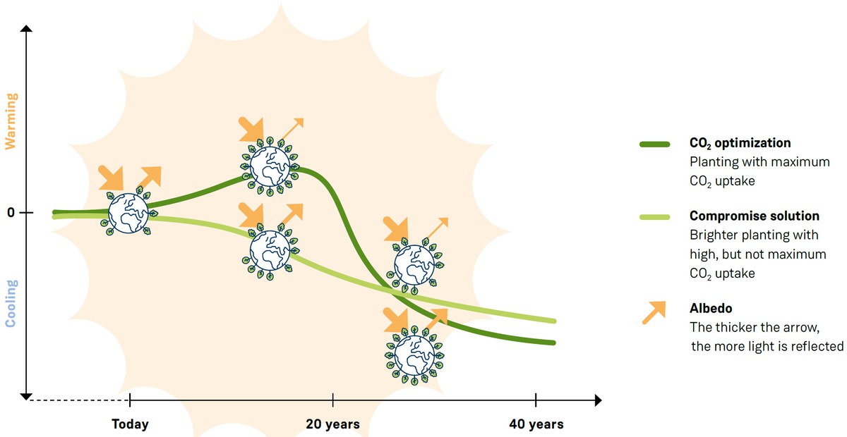 Maximum CO2 uptake and compomise solution: how they influence the global temperature