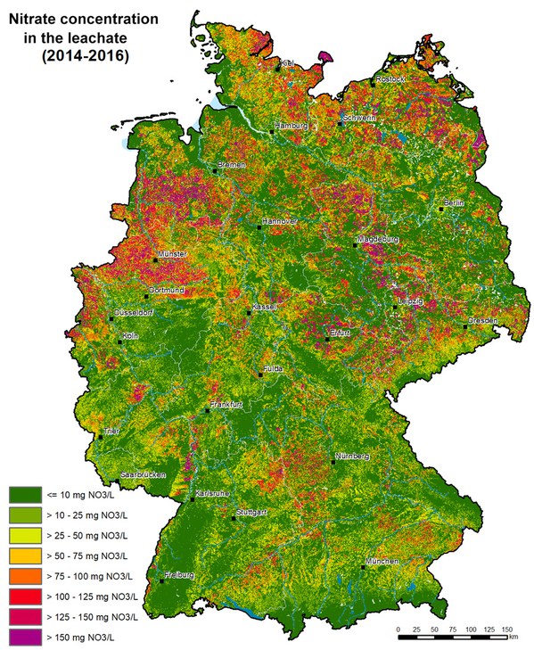 itrate concentration in the leachate