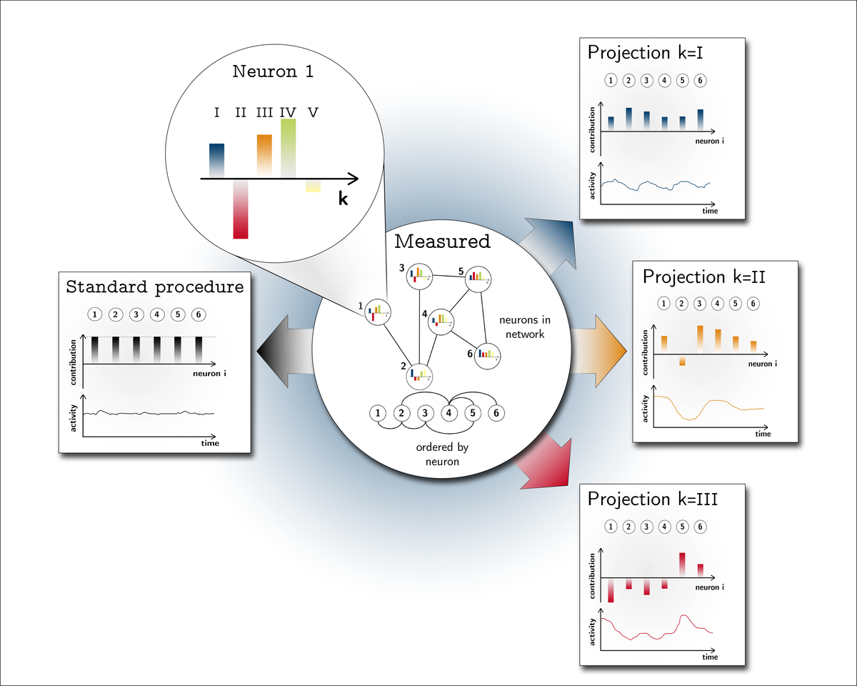 Heterogene, kritische Dynamik