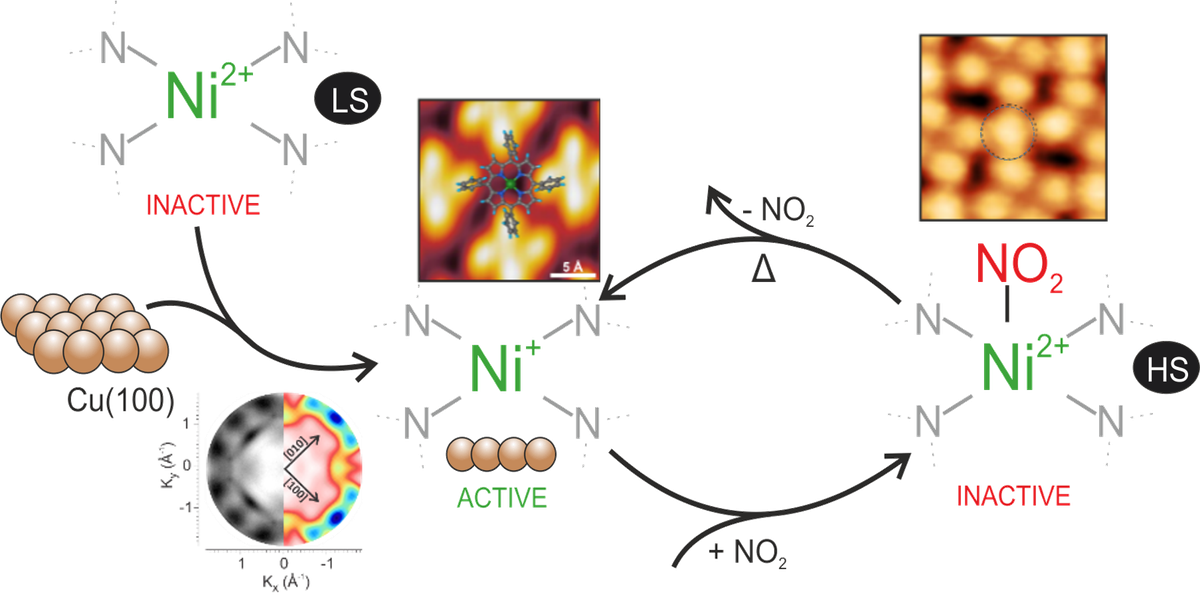 Model porphyrin-based multifunctional interface for spin-switching and tuning.