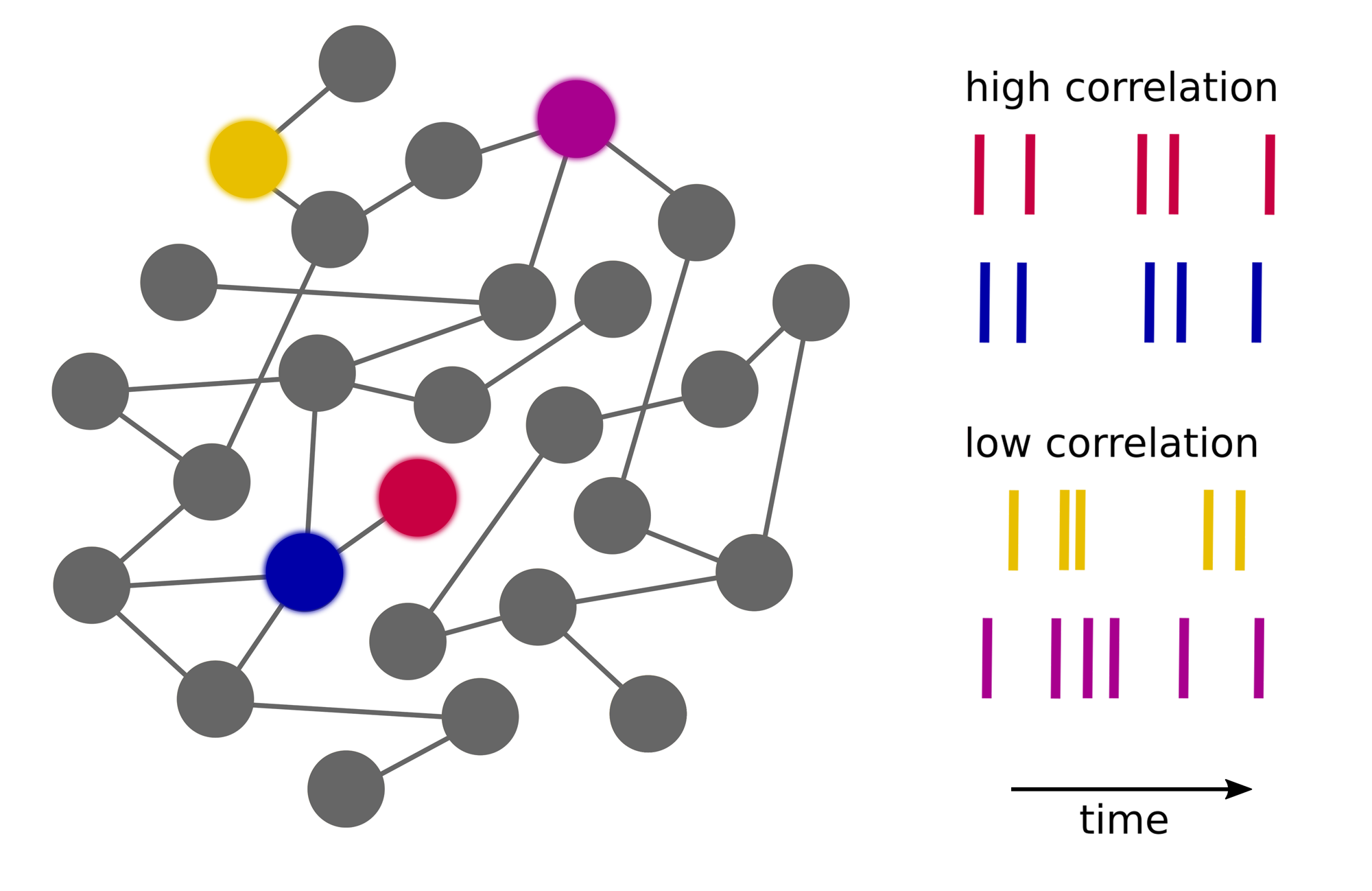 Network model