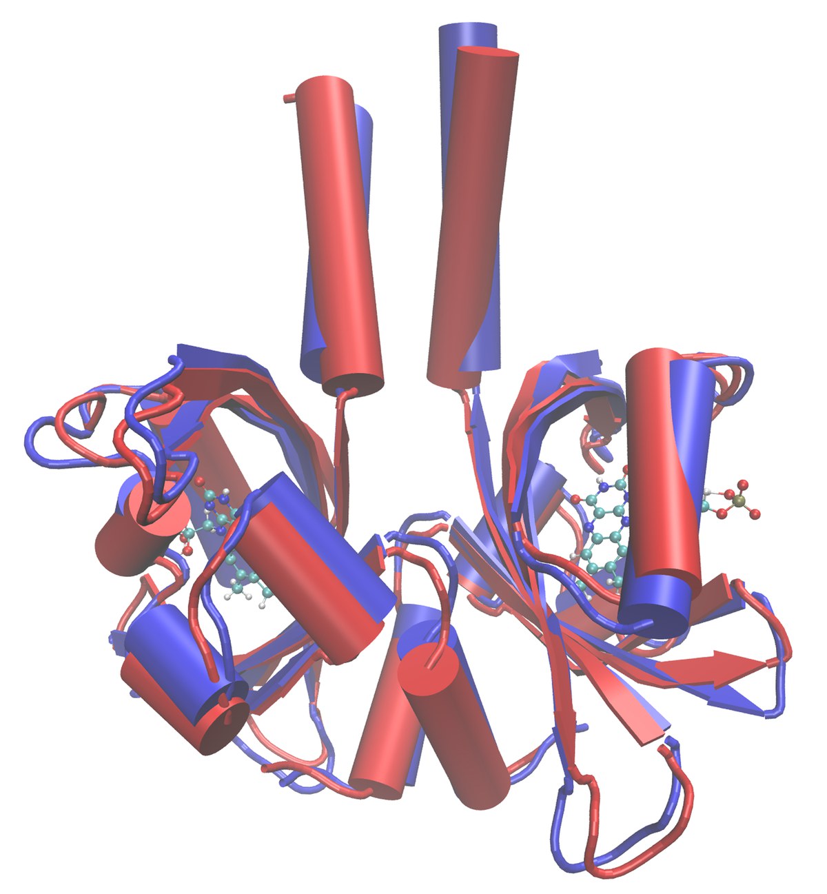 LOV proteins