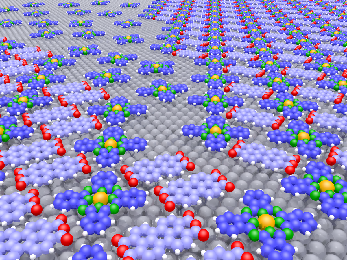 Heteromolekulare Strukturen an Metalloberflächen