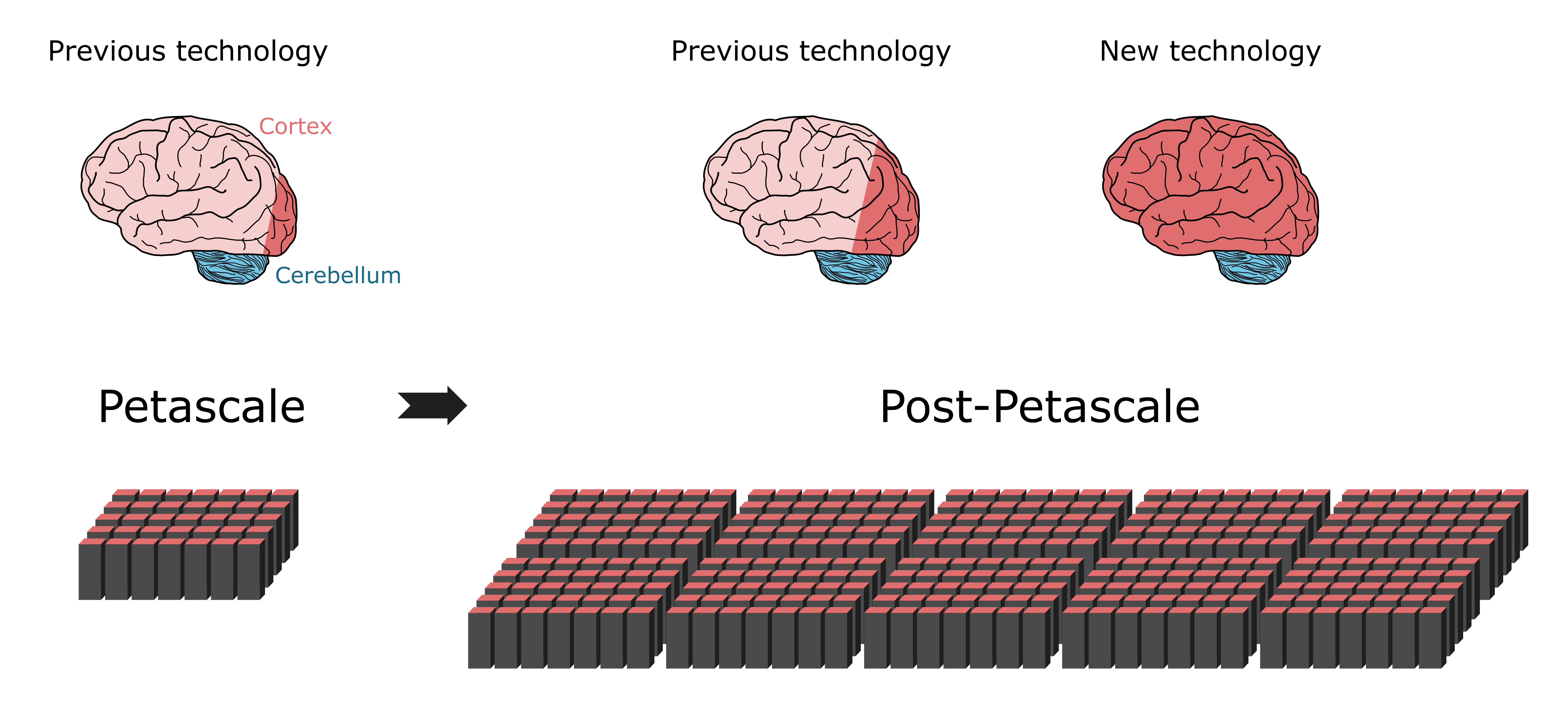 Previous simulation technology can represent about 1% of nerve cells in a human brain using a petascale supercomputer.