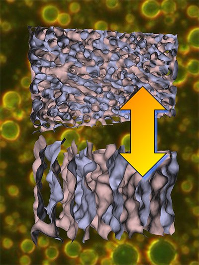 Phase-transition.poster.jpeg