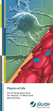 Flyer-Ferienschule-BILD-SMALL-2018_jpg.poster.jpeg