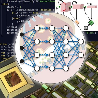 Neuromorphic Compute Nodes (PGI-14)