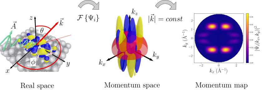 Electronic and Chemical Properties of Organic Molecules
