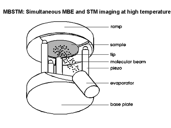 Design of the STM