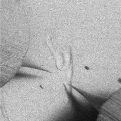 Image Gallery