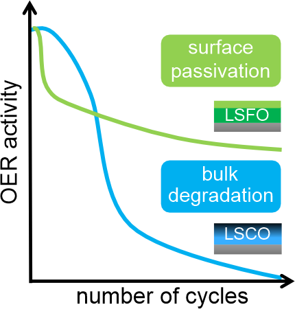 Transient Surface Degradation of LSCO and LSFO during OER in Alkaline Electrolyte under Dynamic Cycling Conditions