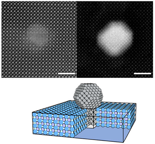 Direct atomic-scale investigation of the coarsening mechanisms of exsolved catalytic Ni nanoparticles.