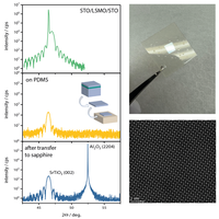 Ongoing research activities
