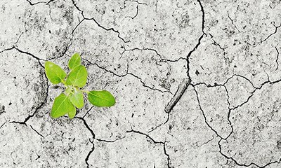 Teaser Klimaforschung.jpg