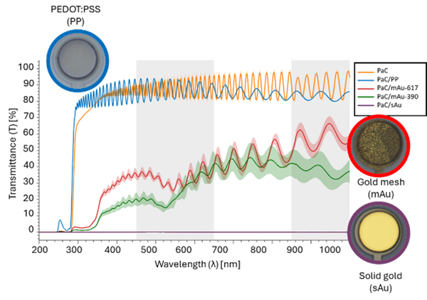 Multimodal Neurotechnology