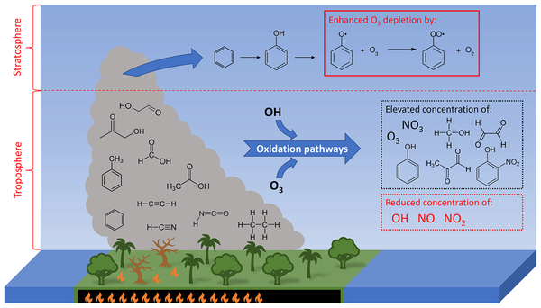 Multiphase Chemistry in a Changing Climate