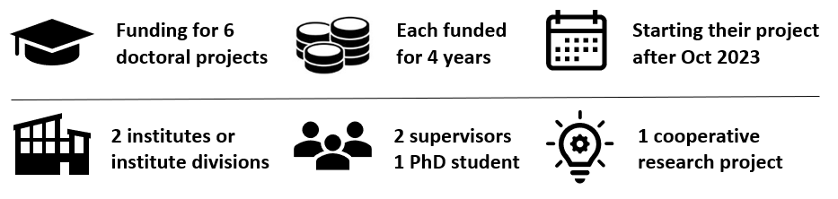 Cooperative doctoral projects