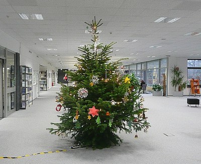 Christmas tree in the Central Library 2012