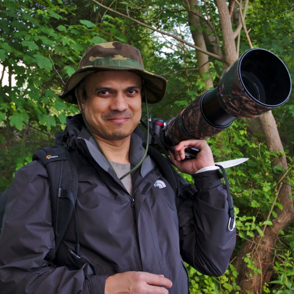 Sandipan Mohanty