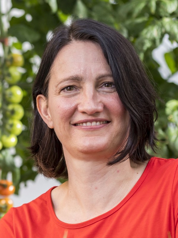 Anika Wiese-Klinkenberg